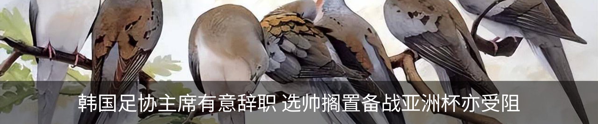 行业资讯